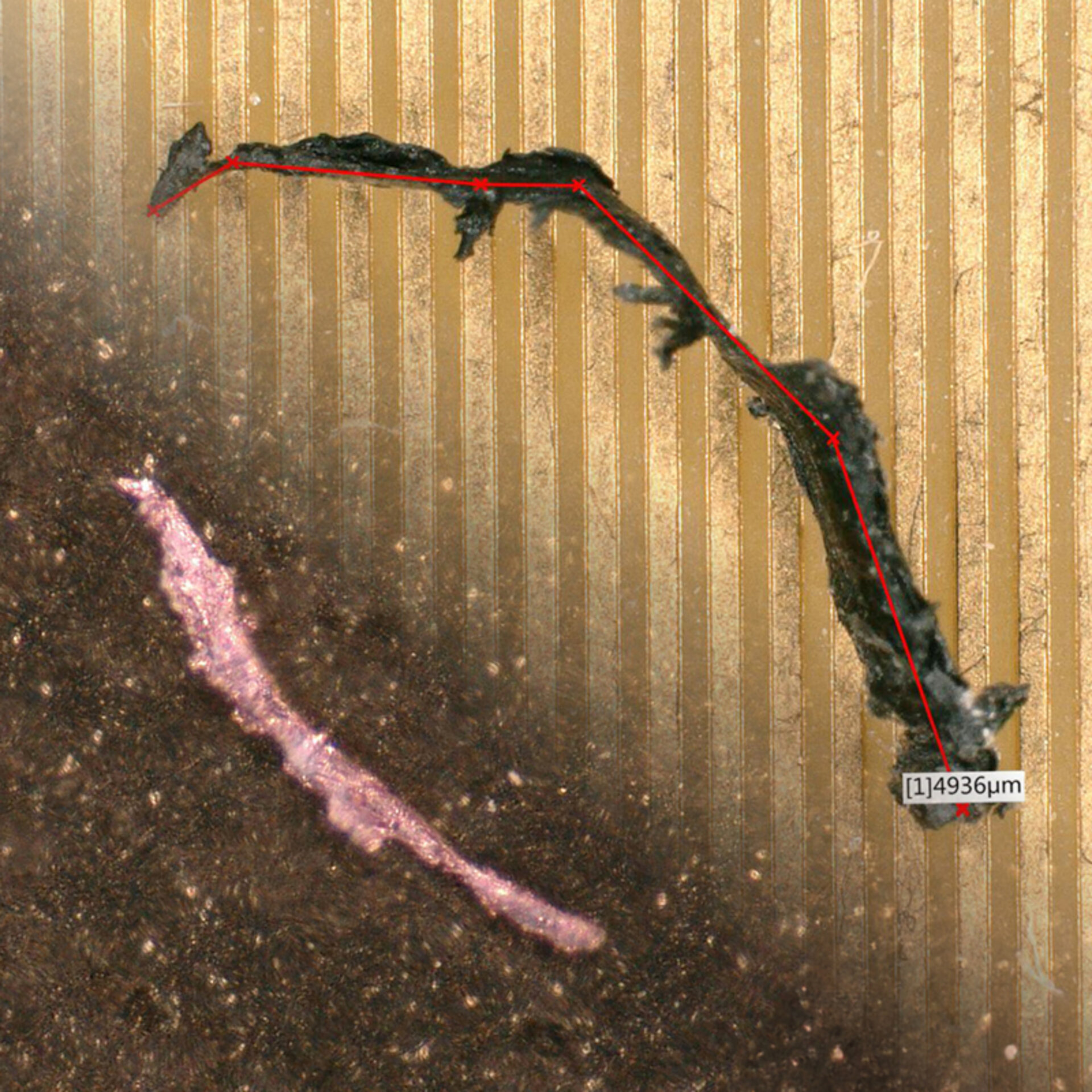 Kupfer- und Polystyrolpartikel auf Leiterplatte – typische Fremdkörper aus Fertigung und Verpackung als Risiko für TecSa | © @Zestron