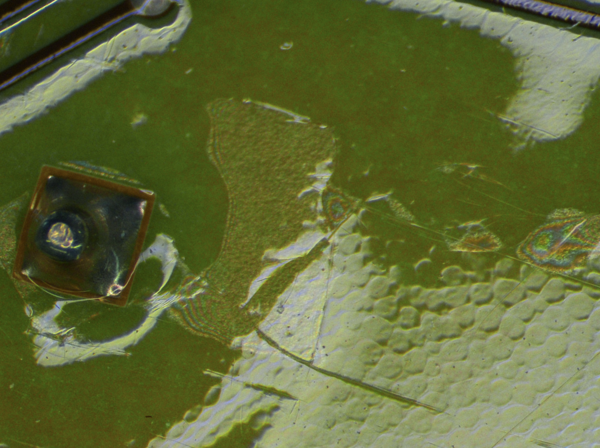 filmic organic impurities | © @Zestron