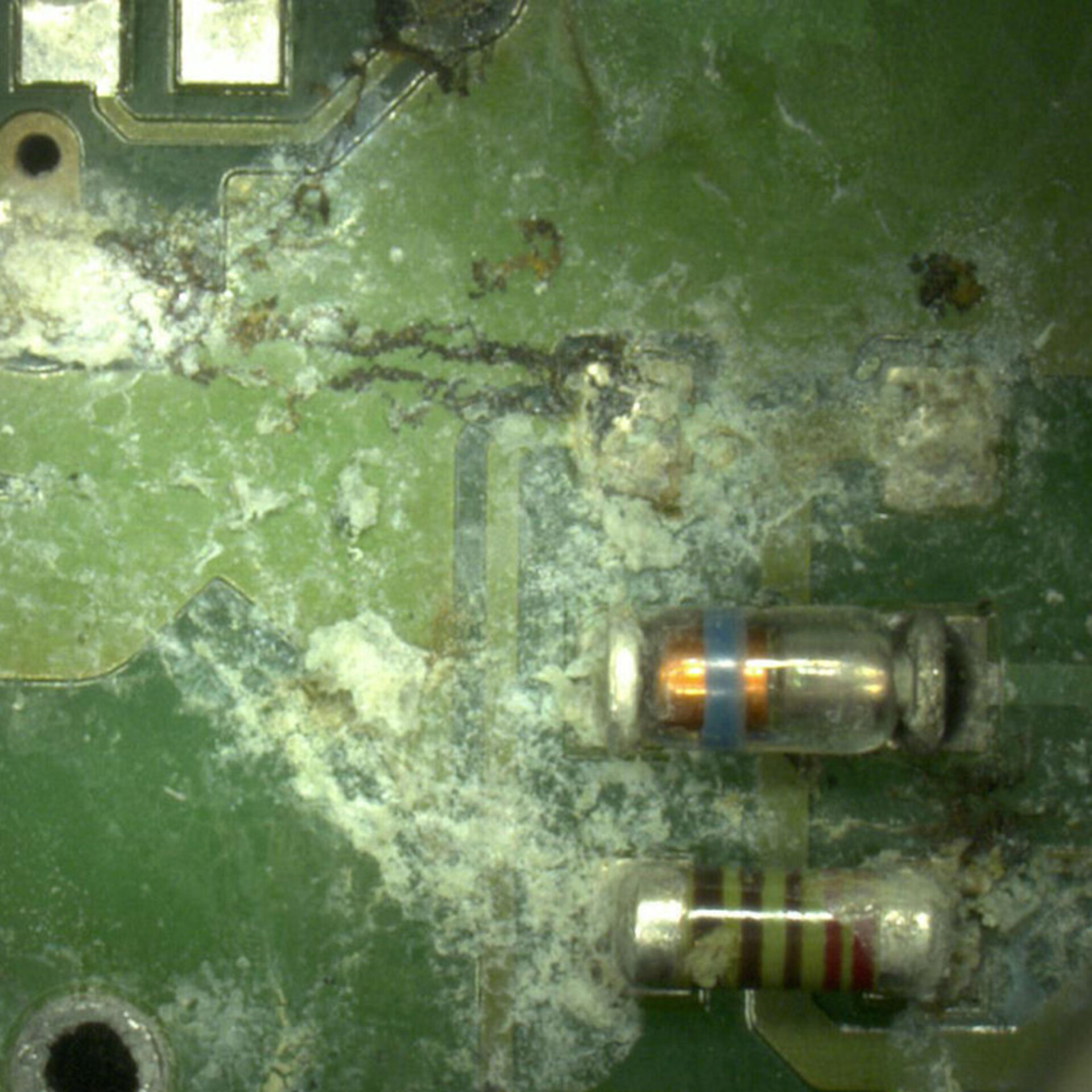 Darstellung der Auswirkungen elektrochemischer Migration auf eine elektronische Baugruppe | © ZESTRON