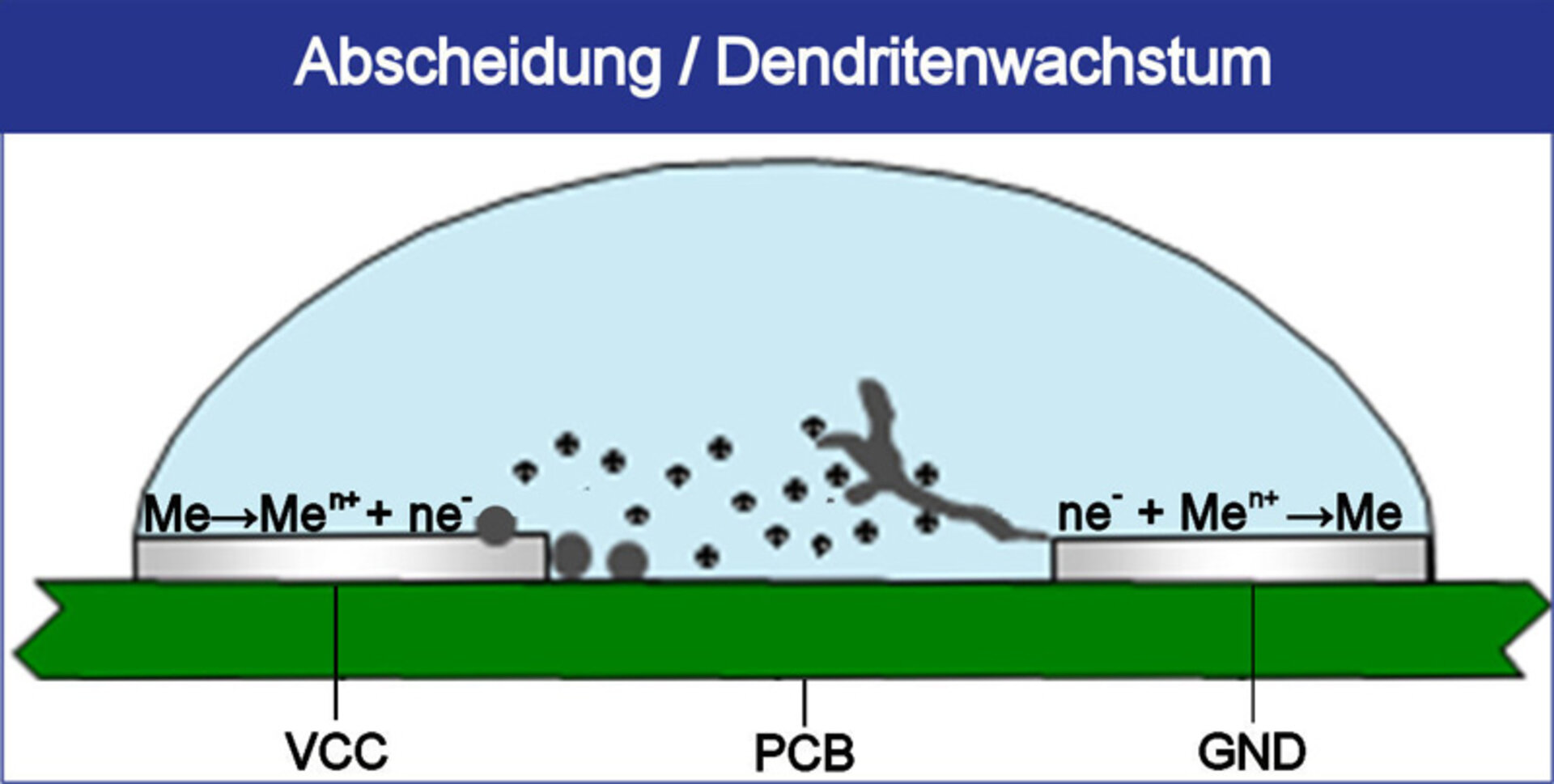 Die Darstellung zeigt das Dentridenwachstum auf der Oberfläche einer Baugruppe, das durch elektrochemische Migration verursacht wird.  | © ZESTRON
