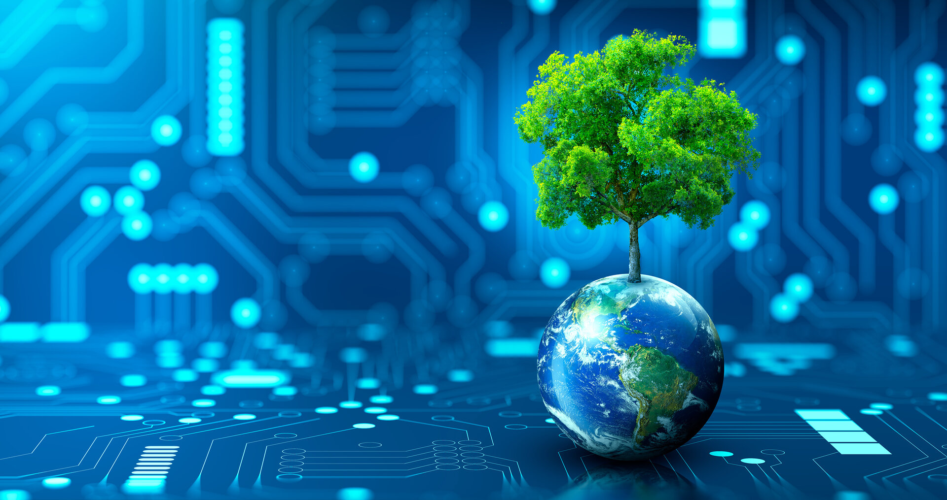 © peach_adobe – stock.adobe.com