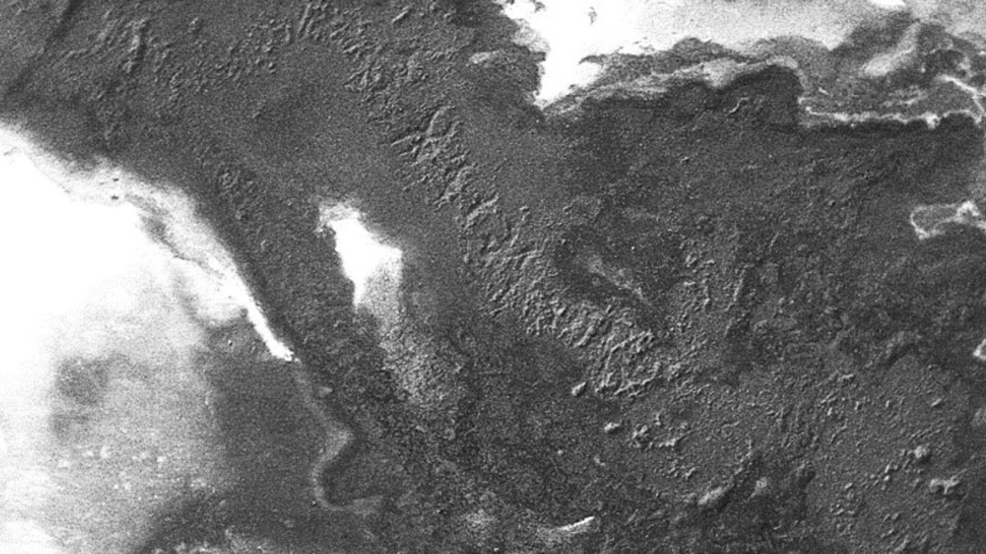 The picture shows a tin dendrite under the microscope, surrounded by organic residues and activator residues on the circuit board. | © @Zestron