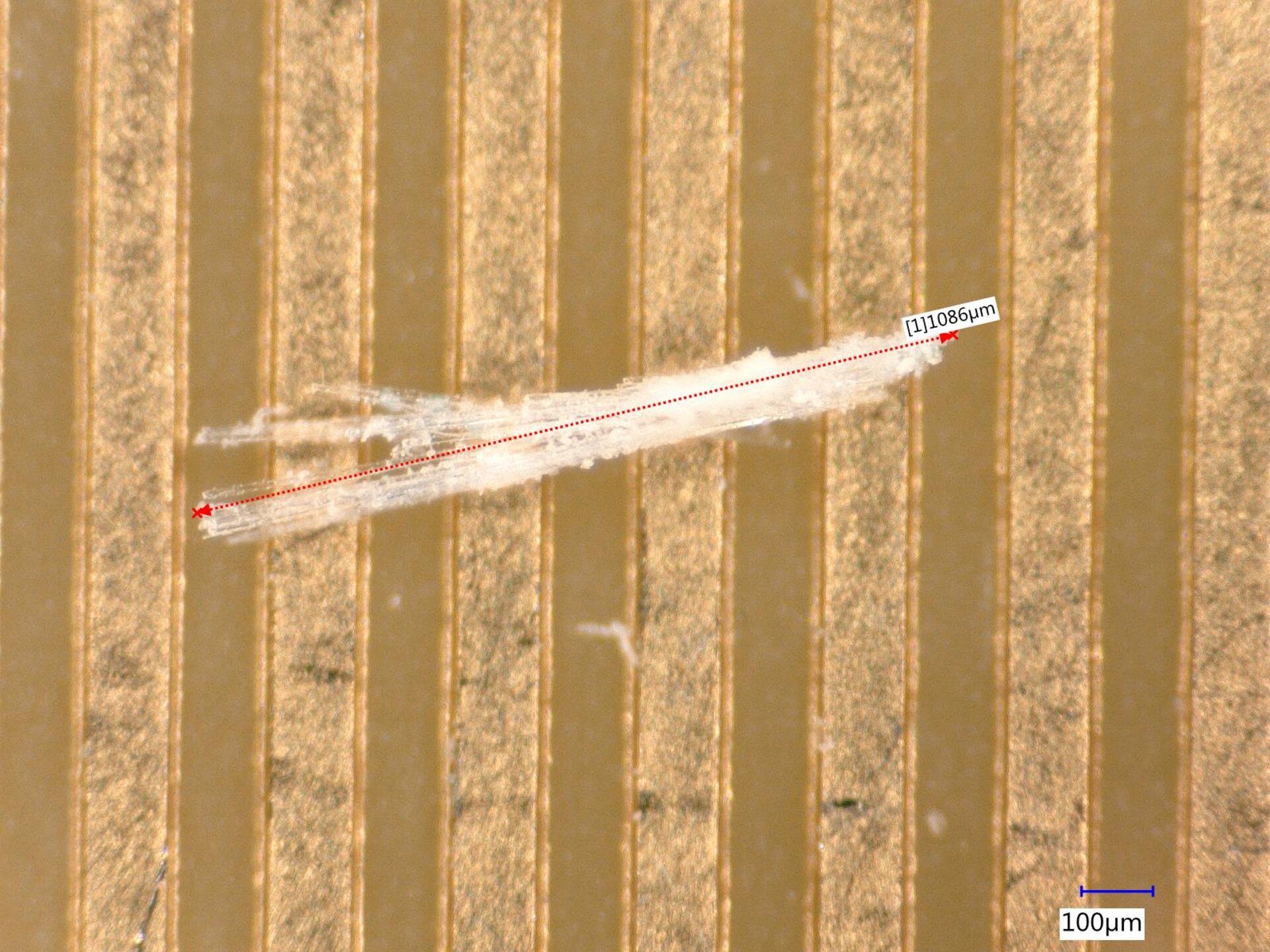 Auf dem Bild ist eine Partikelverunreinigung zu sehen.  | © @Zestron