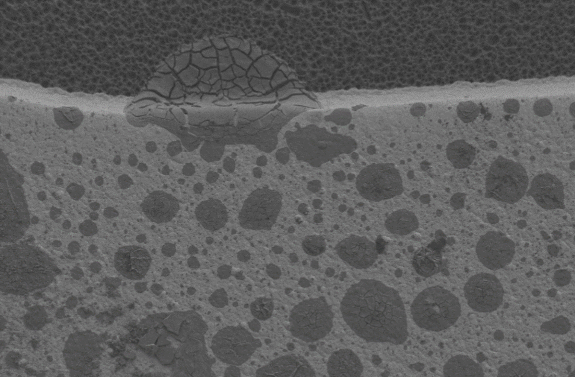 Corrosion du nickel dans la couche ENIG | © Zestron 