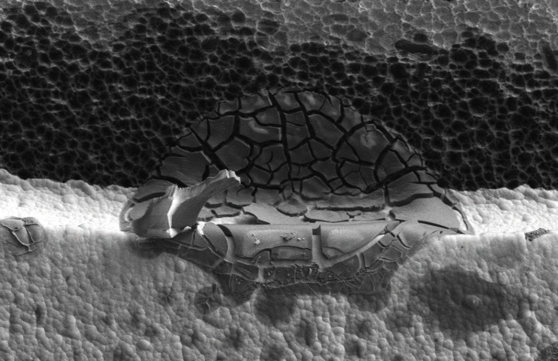 Corrosion dans la couche ENIG pour le nickel | © Zestron