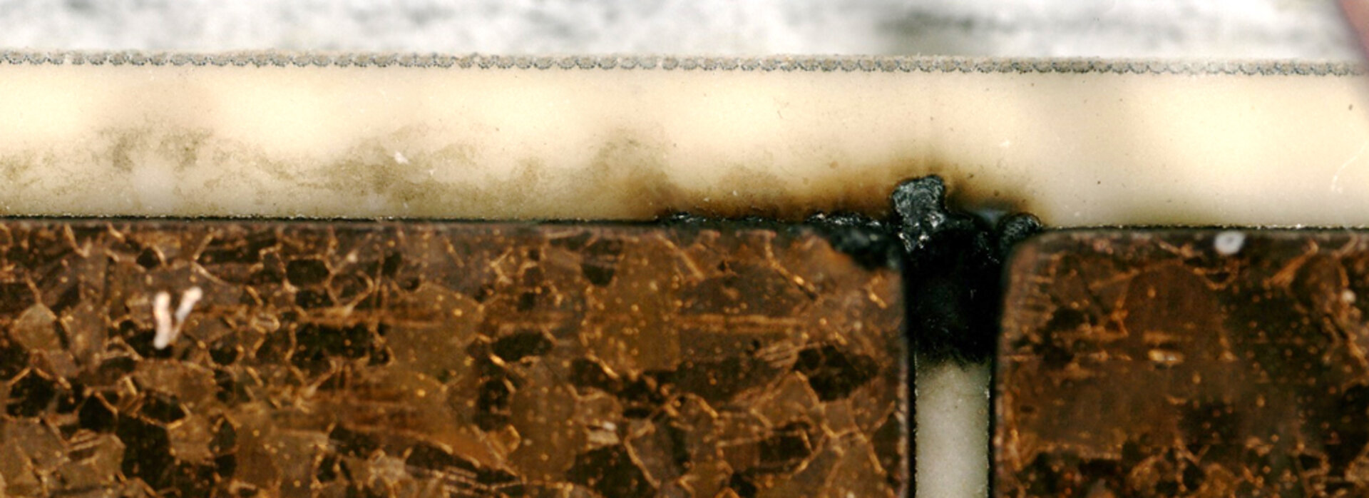 Auf dem Bild ist ein anodisches Migrationsphänomen, ein feuchtebedingter Ausfallmechanismus,  auf einer elektronischen Baugruppe zu sehen.  | © @ZESTRON