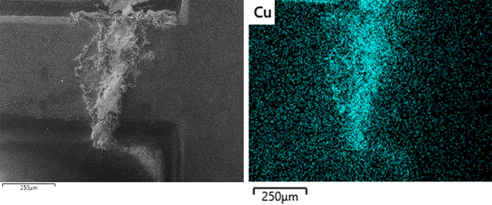 Optische Untersuchung einer elektronischen Baugruppe mit dem Mikroskop | © Zestron