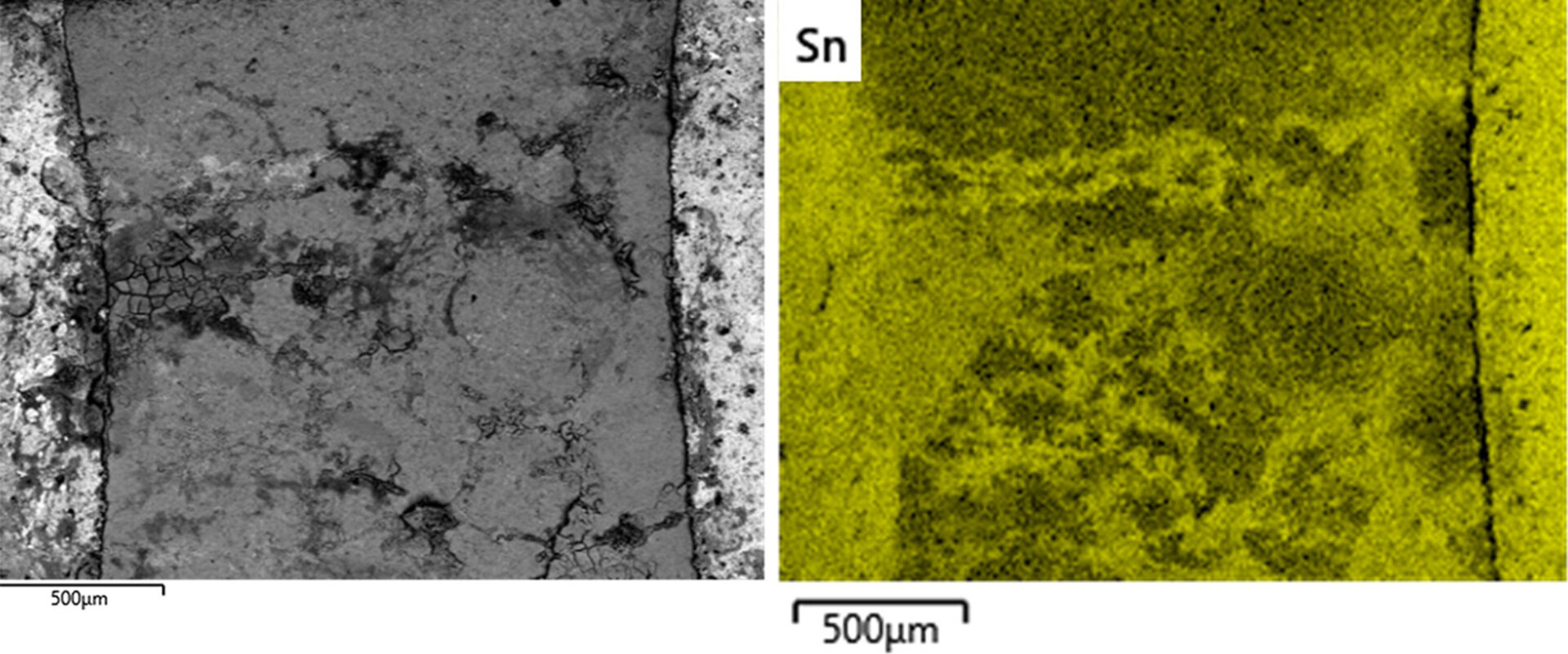 Leiterplatte mit Dendriten wird mit Hilfe von REM / EDX untersucht. | © Zestron