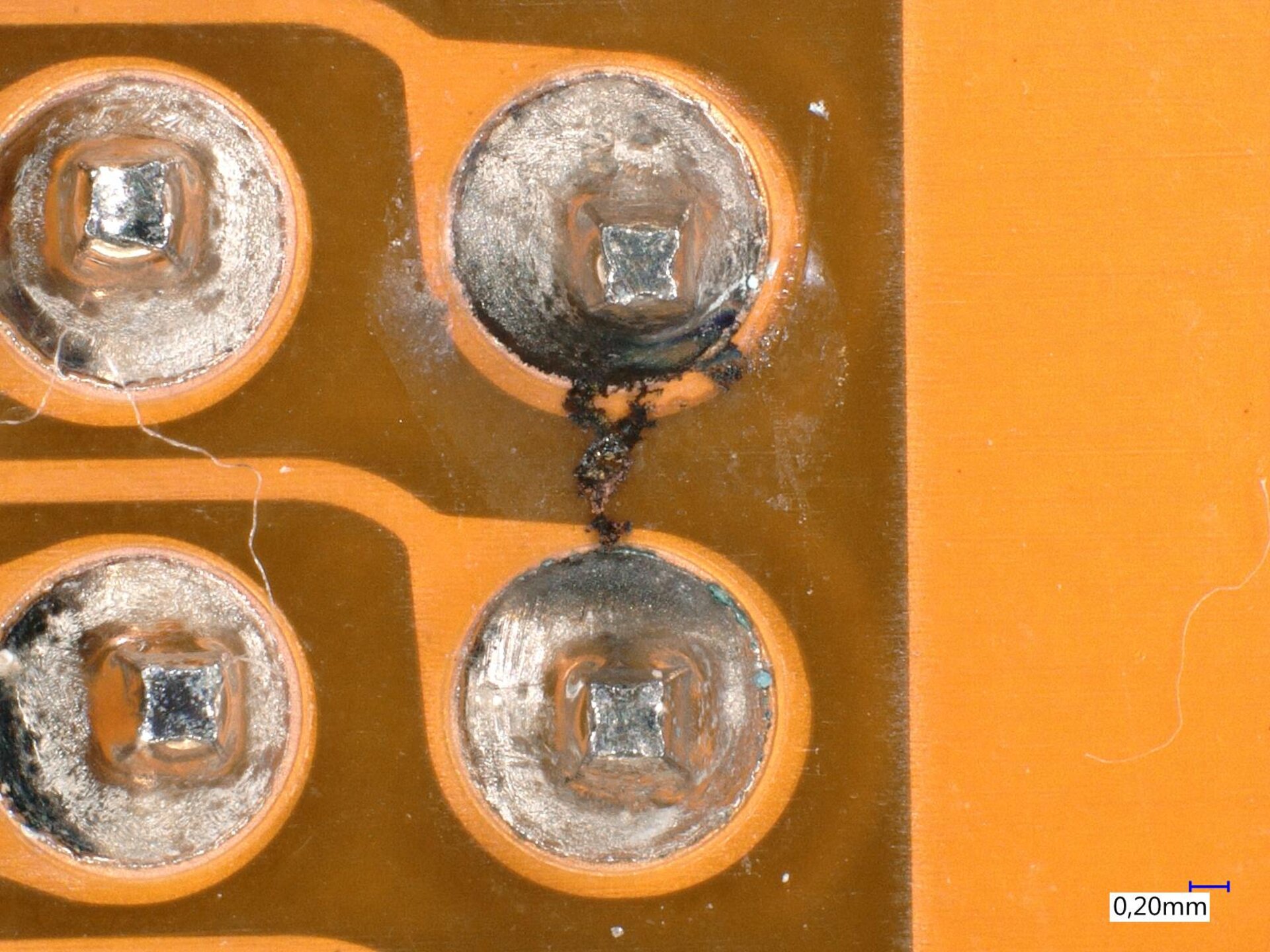 Dendritischer Ausfallmechanismus durch elektrochemische Migration auf der Leiterplatte. | © Zestron