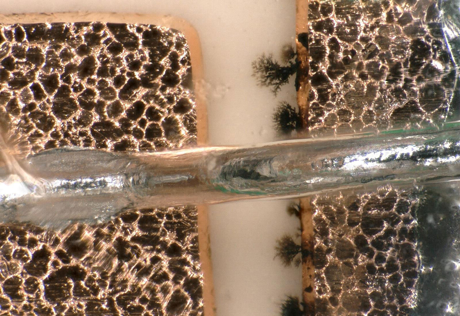 Dendritenbildung unter der Silikonschicht bei Leistungsmodulen | © @ZESTRON