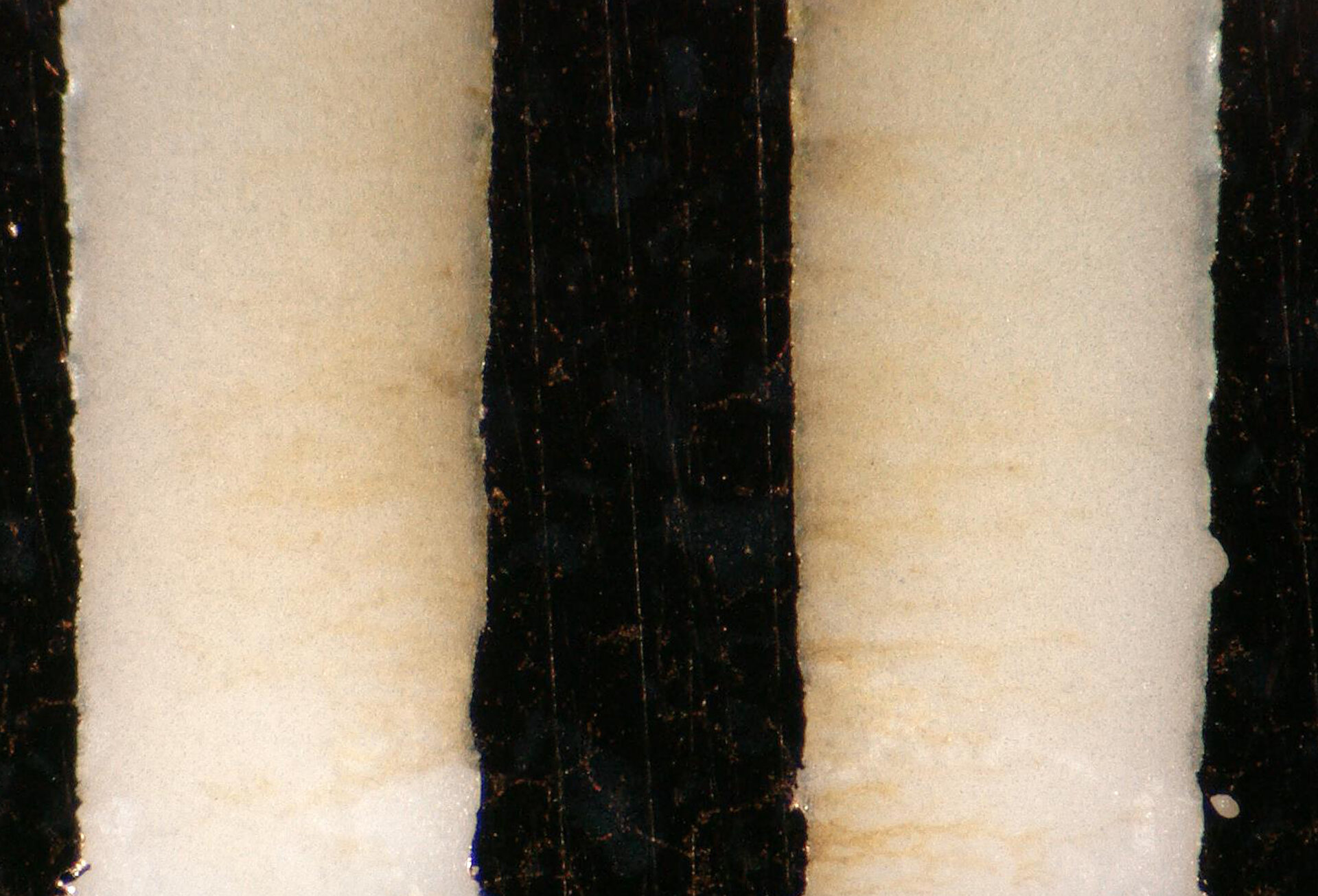 Darstellung der Migration von der Anode zur Kathode in einer Epoxidverbindung (CIPS22) | © @ZESTRON