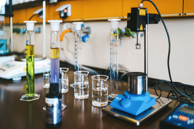 © @The Sour Cherry Fotografie - Michaela Curtis