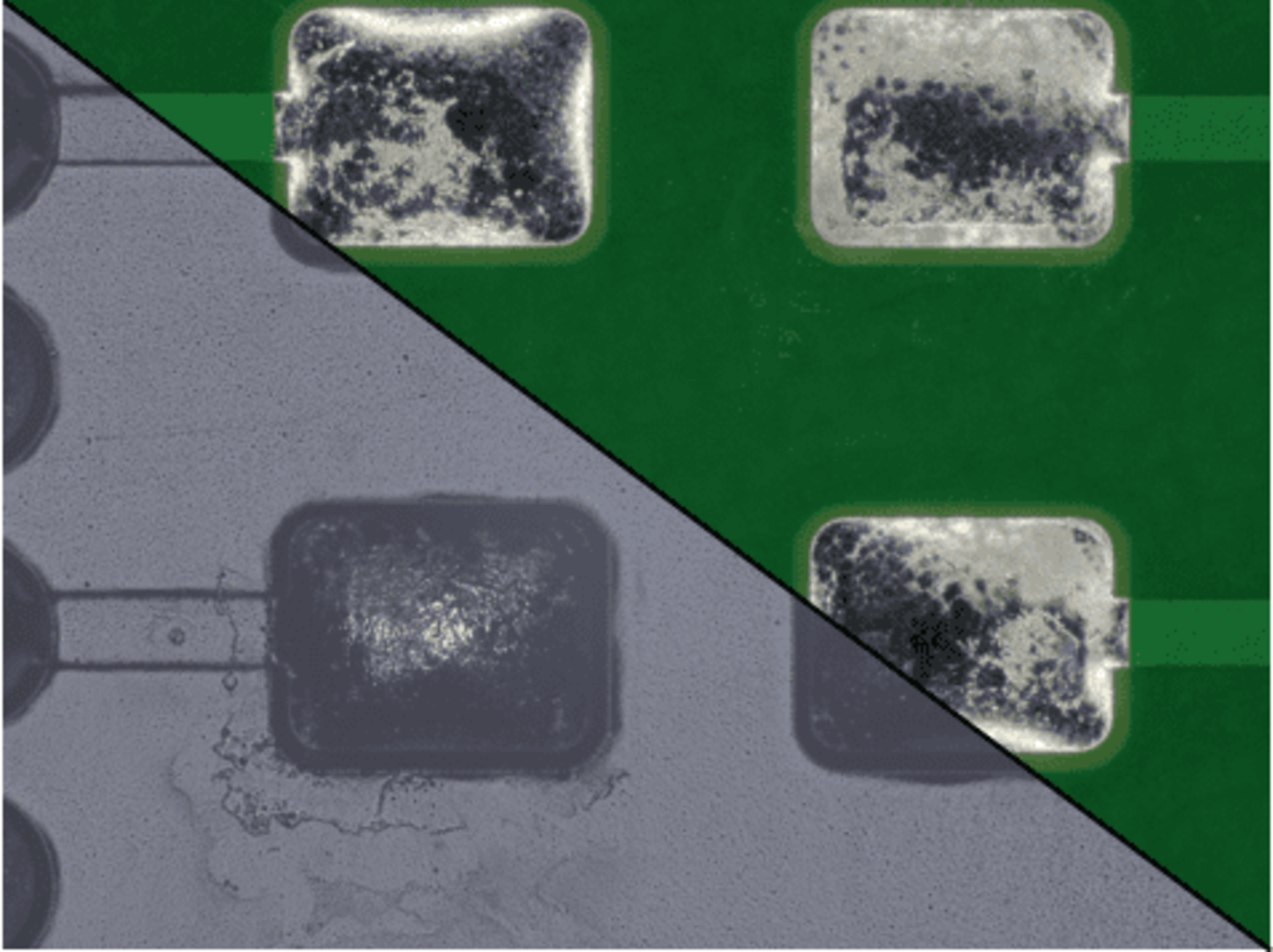 ゼストロンが保有しているマイクロスコープを使った 高解像度分析では、従来の顕微鏡と比較し、 残渣を見ることができる幅が広がりました。