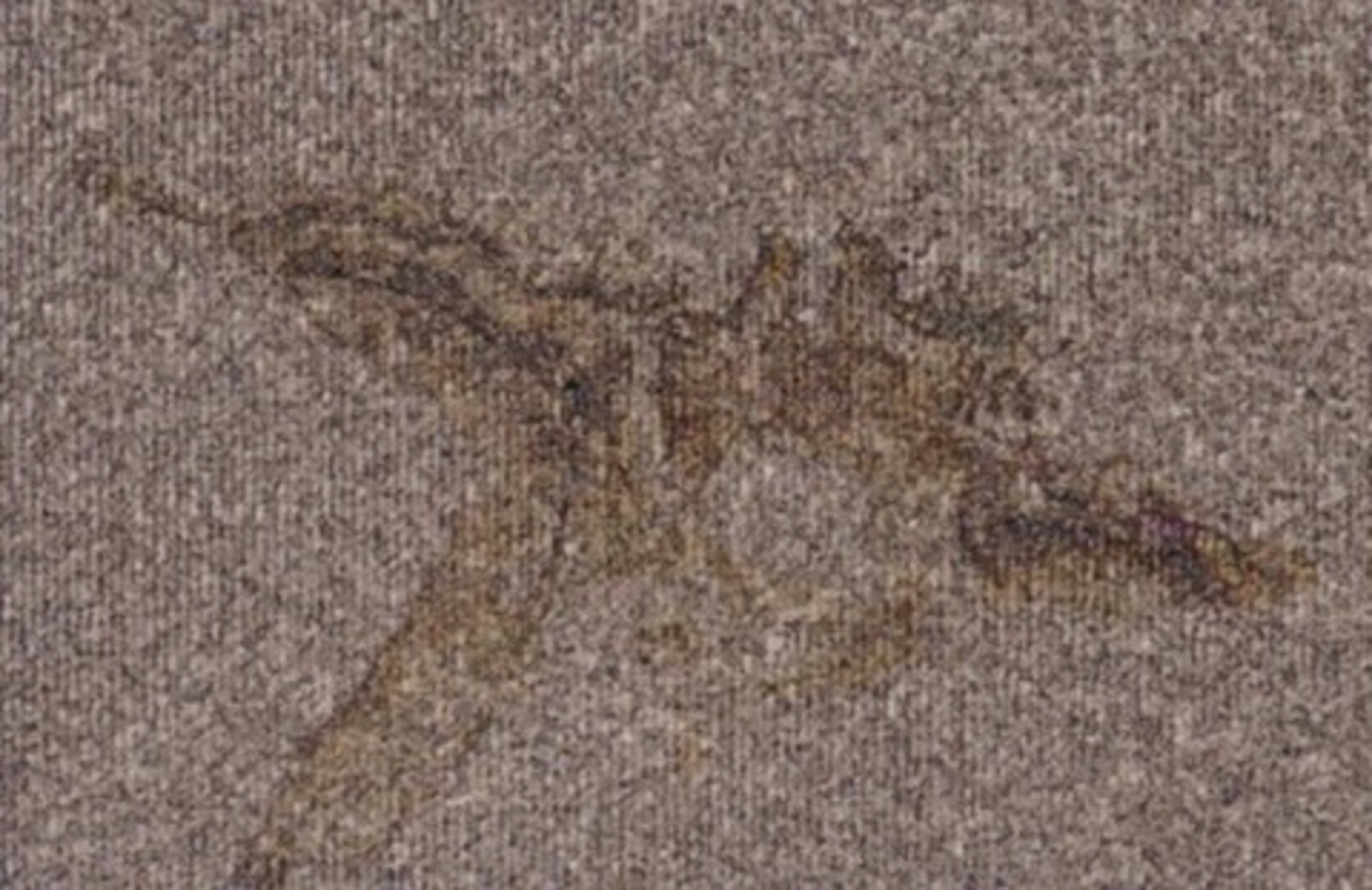 ベアチップ上に形成されたシミ　イオン残渣